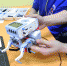 Робототехника «Robostark» в Краснокаменске - Администрация г. Краснокаменск