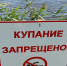 Купание запрещено! - Город Краснокаменск